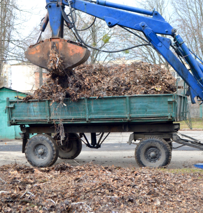 Dumpster Rental