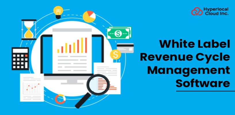 White Label Revenue Cycle Management Software Solution