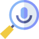 Voice Search (1)